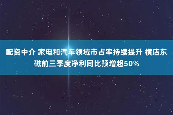 配资中介 家电和汽车领域市占率持续提升 横店东磁前三季度净利同比预增超50%