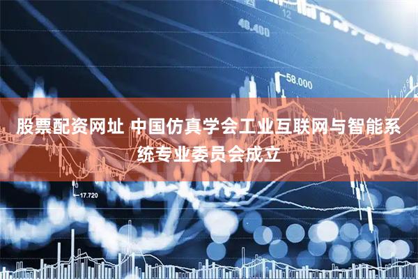 股票配资网址 中国仿真学会工业互联网与智能系统专业委员会成立