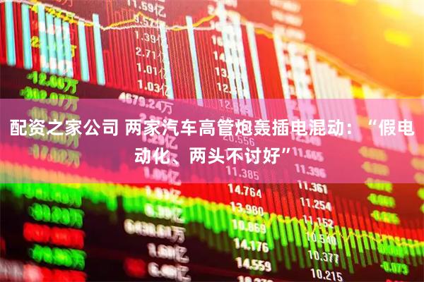 配资之家公司 两家汽车高管炮轰插电混动：“假电动化、两头不讨好”
