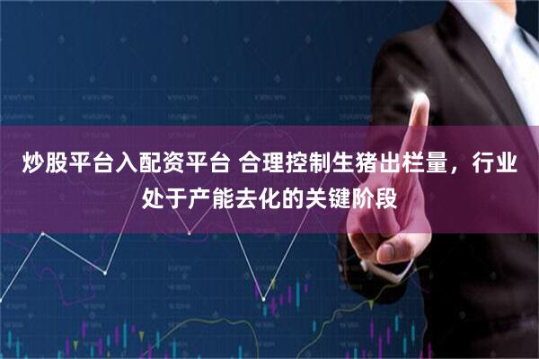 炒股平台入配资平台 合理控制生猪出栏量，行业处于产能去化的关键阶段